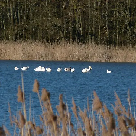 La Aux Secrets - Au Milieu De Nulle Part Outines